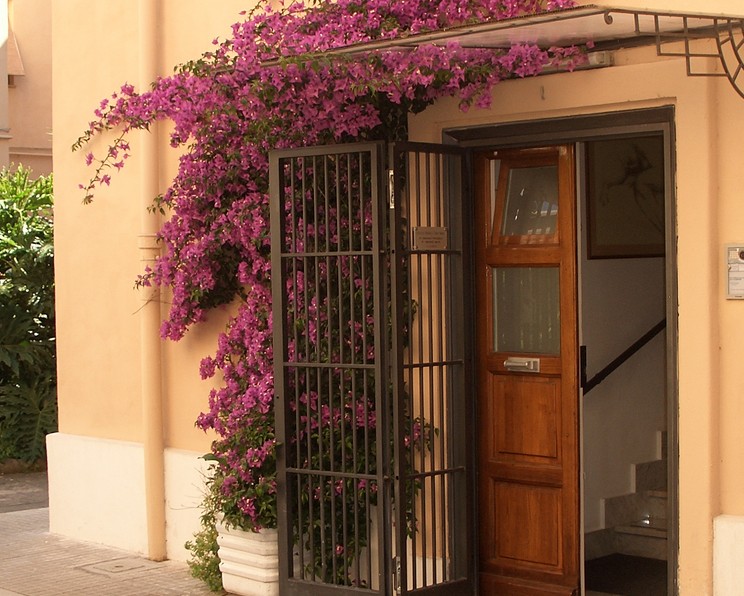 Ingresso dello studio Fisionet a Latina con bougainvillea